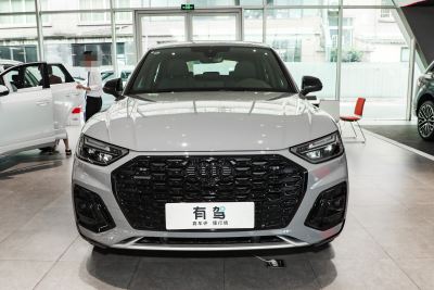 2025款 quattro 45周年典藏版 40 TFSI 豪华型-外观-图片-有驾