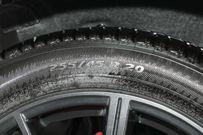 2025款 quattro 45周年典藏版 40 TFSI 豪华型-外观-图片-有驾
