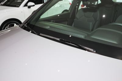 2025款 quattro 45周年典藏版 40 TFSI 豪华型-外观-图片-有驾