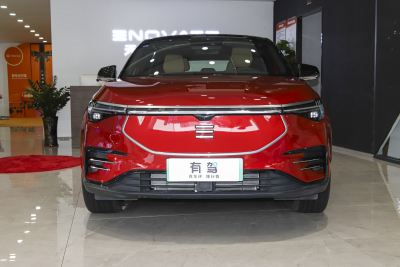 2021款 410km-外观-图片-有驾