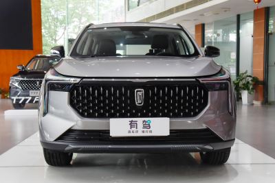 2021款 1.5T 自动乐活·豪华版-外观-图片-有驾