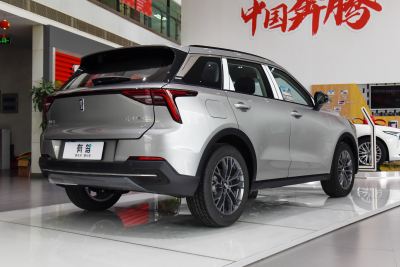 2021款 1.5T 自动乐活·豪华版-外观-图片-有驾