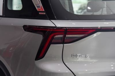 2021款 1.5T 自动乐活·豪华版-外观-图片-有驾