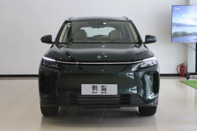 2025款 165km 长续航咖啡创业版 5座-外观-图片-有驾