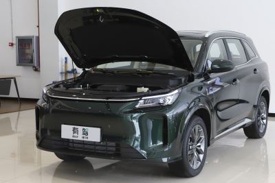 2025款 165km 长续航咖啡创业版 5座-外观-图片-有驾