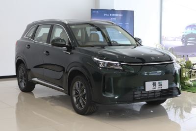 2025款 165km 长续航咖啡创业版 5座-外观-图片-有驾