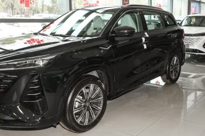 2026款 智慧冠军版 1.5T 新蓝鲸 智航型-外观-图片-有驾