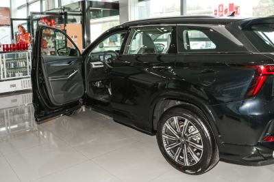 2026款 智慧冠军版 1.5T 新蓝鲸 智航型-外观-图片-有驾