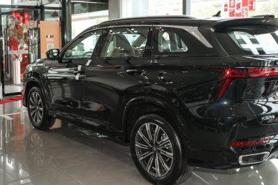 2026款 智慧冠军版 1.5T 新蓝鲸 智航型-外观-图片-有驾