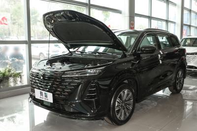 2026款 智慧冠军版 1.5T 新蓝鲸 智航型-外观-图片-有驾