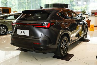 2025款 260 前驱 特别版-外观-图片-有驾