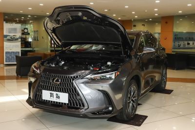 2025款 260 前驱 特别版-外观-图片-有驾