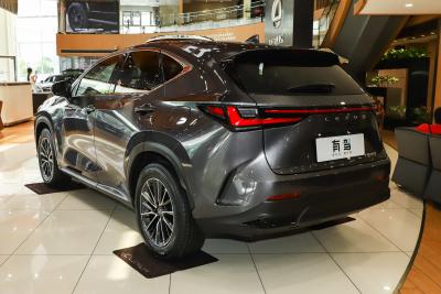 2025款 260 前驱 特别版-外观-图片-有驾