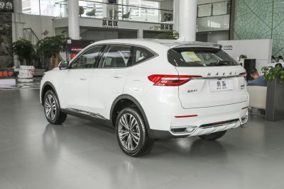 2021款 2.0T 两驱i动-外观-图片-有驾