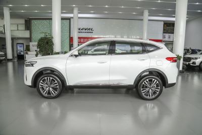 2021款 2.0T 两驱i动-外观-图片-有驾