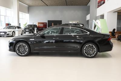 2025款 45 TFSI 豪华型-外观-图片-有驾