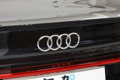 2025款 45 TFSI 豪华型-外观-图片-有驾