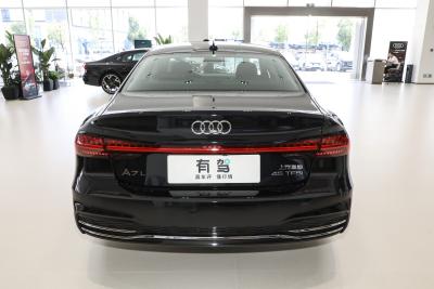 2025款 45 TFSI 豪华型-外观-图片-有驾