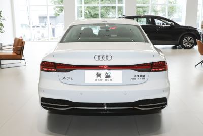 2025款 45 TFSI 豪华型-外观-图片-有驾