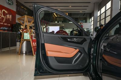 2024款 2.0T 250PS R-DYNAMIC S耀黑运动版-内饰-图片-有驾