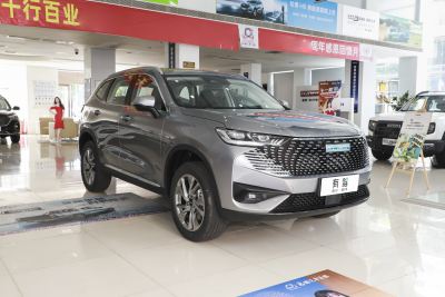 2023款 DHT-PHEV 110KM 畅行版-外观-图片-有驾