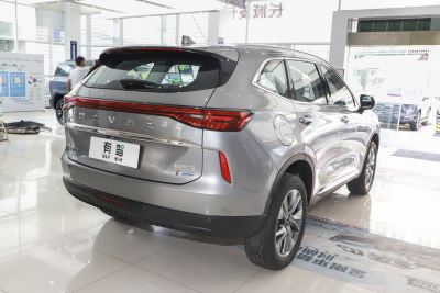 2023款 DHT-PHEV 110KM 畅行版-外观-图片-有驾