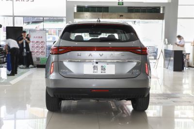 2023款 DHT-PHEV 110KM 畅行版-外观-图片-有驾