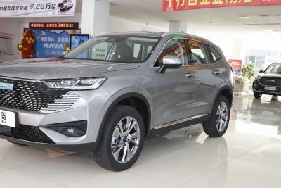 2023款 DHT-PHEV 110KM 畅行版-外观-图片-有驾