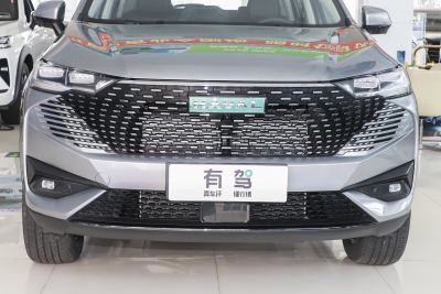 2023款 DHT-PHEV 110KM 畅行版-外观-图片-有驾