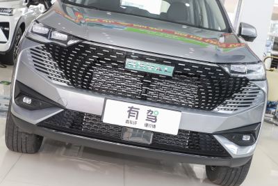 2023款 DHT-PHEV 110KM 畅行版-外观-图片-有驾