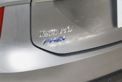 2023款 DHT-PHEV 110KM 畅行版-外观-图片-有驾