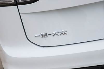 2026款 3000万辆甄选款 330TSI-外观-图片-有驾