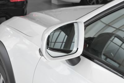 2025款 Cross Country B5 AWD 智尊版-外观-图片-有驾