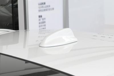 2025款 Cross Country B5 AWD 智尊版-外观-图片-有驾