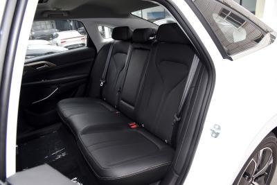 2024款 500Plus版-空间-图片-有驾