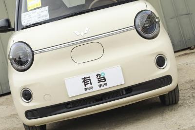 2026款 第五代 205km 臻享款-外观-图片-有驾