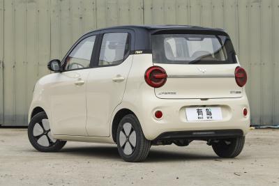 2026款 第五代 205km 臻享款-外观-图片-有驾