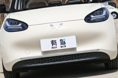 2025款 333km 悦享款-外观-图片-有驾