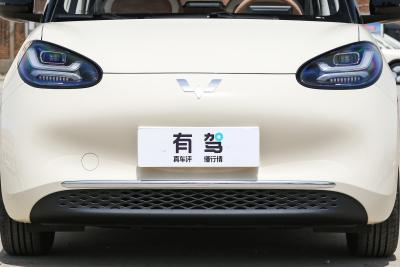 2025款 333km 悦享款-外观-图片-有驾