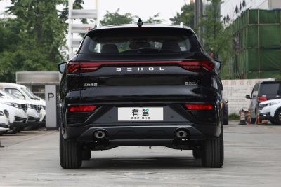 2021款 300T DCT尊荣智联型-外观-图片-有驾