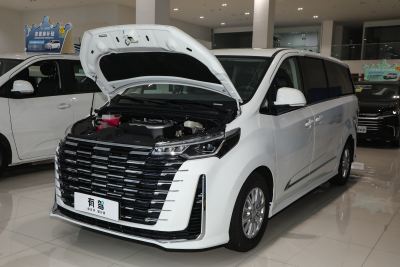 2025款 MAX 2.0T 自动豪华版 柴油 7座-外观-图片-有驾