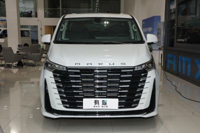 2025款 MAX 2.0T 自动豪华版 柴油 7座-外观-图片-有驾