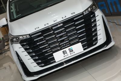 2025款 MAX 2.0T 自动豪华版 柴油 7座-外观-图片-有驾