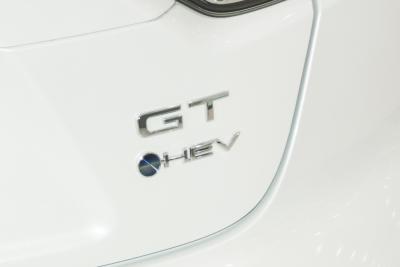 2024款 智能电混双擎 2.0L 豪华版-外观-图片-有驾