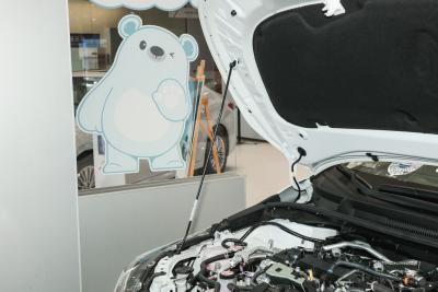 2024款 智能电混双擎 2.0L 豪华版-外观-图片-有驾