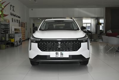 2023款 1.5T 自动飞跃款-外观-图片-有驾