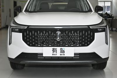 2023款 1.5T 自动飞跃款-外观-图片-有驾