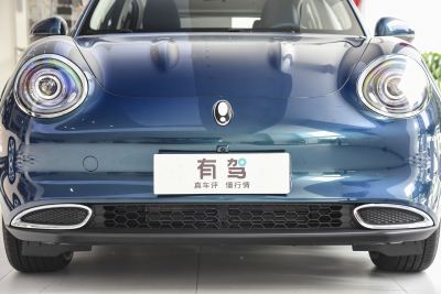 2023款 401km标准续航 舒享型 磷酸铁锂-外观-图片-有驾
