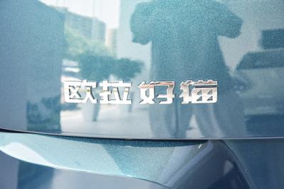 2023款 401km标准续航 舒享型 磷酸铁锂-外观-图片-有驾