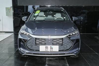 2024款 DM-p 冠军版 215KM 四驱尊享型-外观-图片-有驾